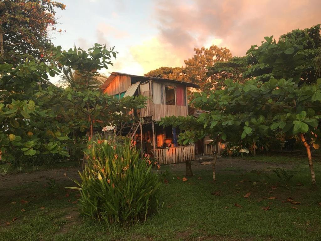 Hotel Miguel Surf Camp Quepos Exteriér fotografie
