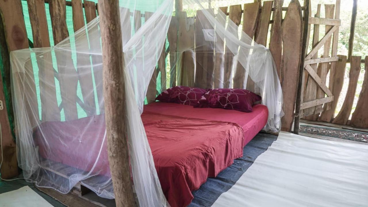 Hotel Miguel Surf Camp Quepos Exteriér fotografie