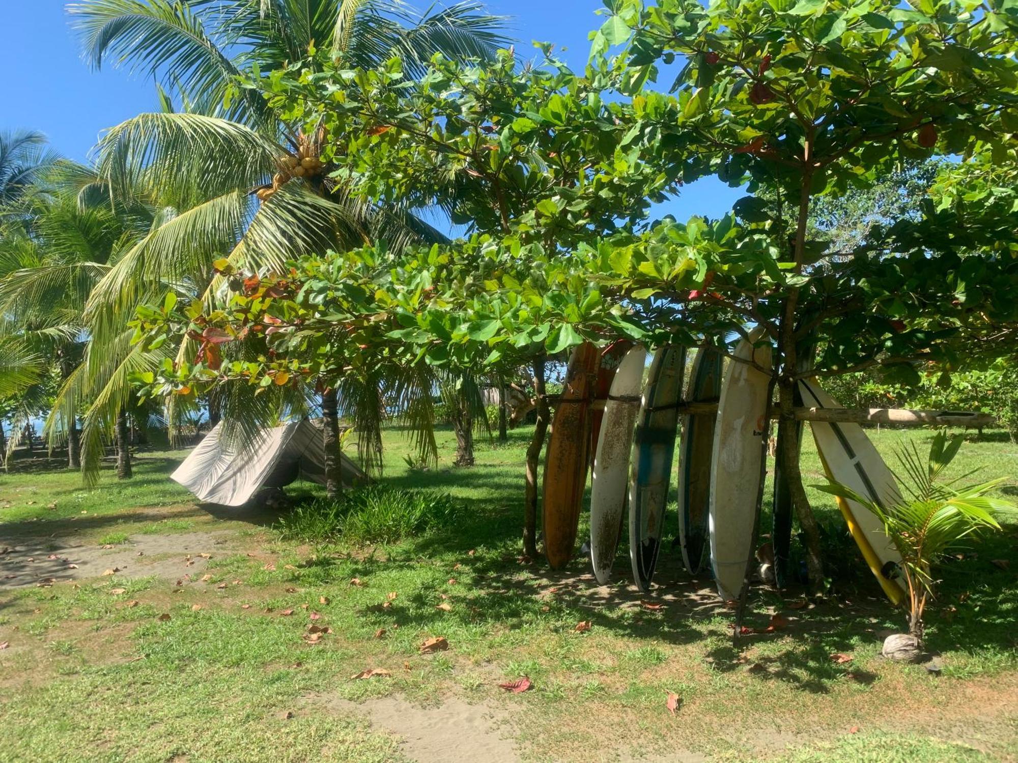 Hotel Miguel Surf Camp Quepos Exteriér fotografie